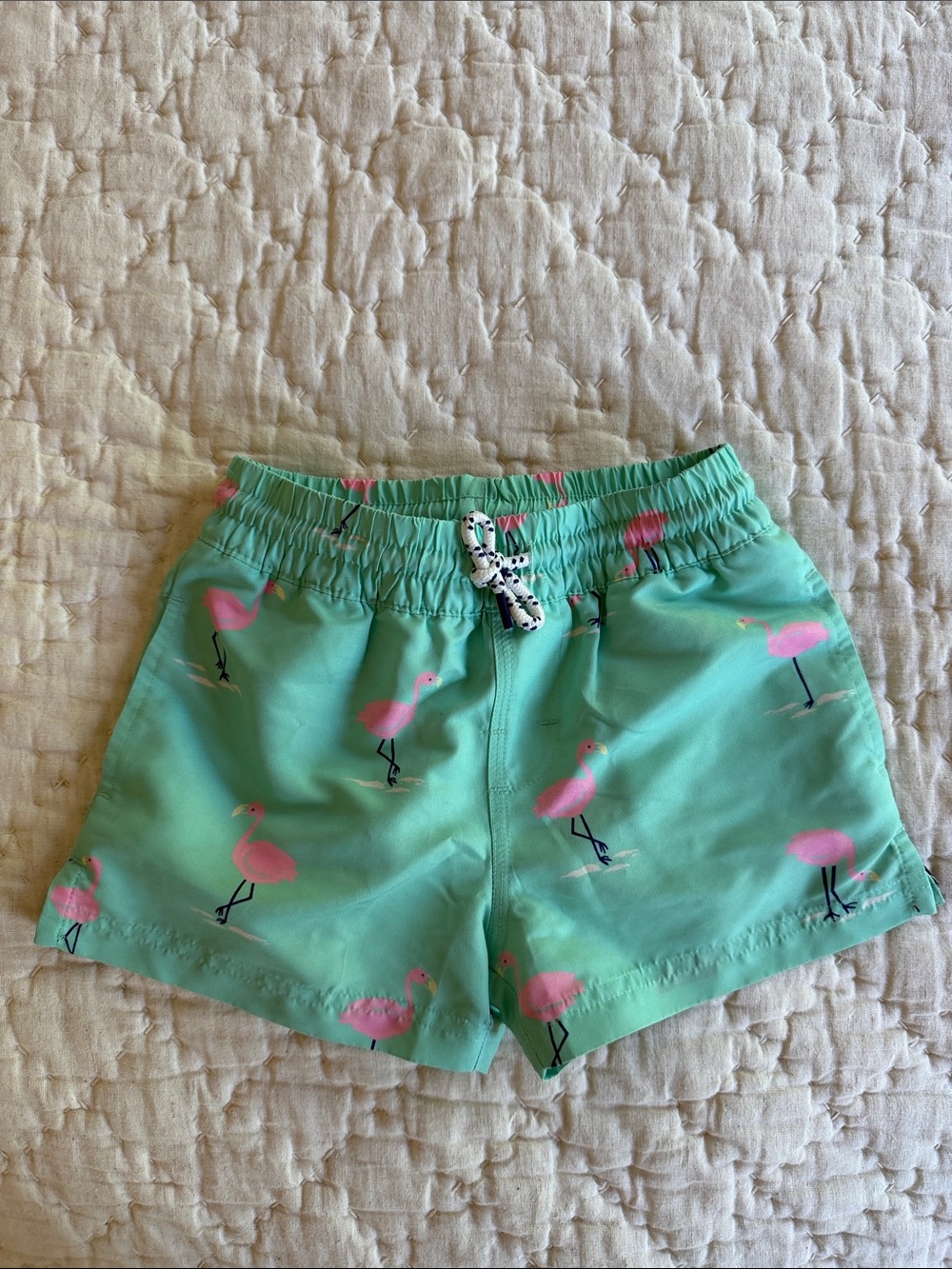 The Beaufort Bonnet Company Mint Green Flamingo Swim Trunks
